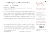 Contrast-enhanced ultrasonography: advance and current ...e-ultrasonography.org/upload/usg-14034.pdfe-ultrasonography.org Ultrasonography 34(1), January 2015 3 Contrast-enhanced ultrasonography:
