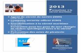 Agent de sûreté de navire (SSO) Company security …...STCW 2010 de tâches spécifiques liées à la sûreté 2013 F ormations à la sûreté maritime KARGUS SEA INTERCONNECTION