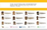 THE AUSTRALIAN HANDBOOK FOR THE …...have been found to have any degree of economic impact, with Queensland fruit fly (Bactrocera tryoni) and Mediterranean fruit fly (Ceratitis capitata)