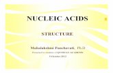 NUCLEIC ACIDS - Mrs. Murchison's 8th Grade Science and ... · NUCLEIC ACIDS STRUCTURE Mahalakshmi Panchavati, Ph.D Presentedtostudentsof QVMS GT ACADEMY 5-October-2012