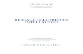 RÉSEAUX ÉLECTRIQUES INTELLIGENTS - Polénergie · PDF file des réseaux électriques intelligents 22 B.1. Les réseaux électriques intelligents : un marché mondial en cours de