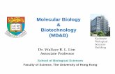 Molecular Biology Biotechnology (MB&B). Molecular... · 2018-11-16 · Molecular Biology & Biotechnology (MB&B) School of Biological Sciences Faculty of Science, The University of
