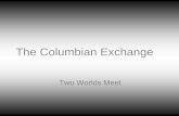 The Columbian Exchange · development from the Columbian Exchange. The introduction of the horse provided people in the Americas with a new source of labor and transportation. •Voyages