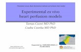 Experimental ex vivo heart perfusion models · , 3 History -ex vivo heart perfusion models 1. isolated frog heart EliasCyon, Carl Ludwig preparation: temperature controlled perfused