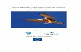 Species Action Plan for the lesser kestrel Falco naumanni · 2015-11-11 · 3 Geographical scope This Action Plan covers the regular breeding range states of the lesser kestrel Falco