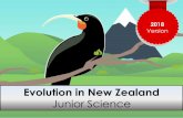 Evolution in New Zealand - NZ SCIENCE CLASS …gzscienceclassonline.weebly.com/uploads/1/1/3/6/11360172/...move around easier and therefore be able to escape predators and gather more