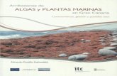 Arribazones de Algas y Plantas Marinas en Gran Canaria · zones vegetales. Estas arribadas de plantas marinas son fenómenos naturales causados generalmente por el azote puntual de