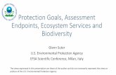 Protection Goals, Assessment Endpoints, Ecosystem Services and Biodiversity · 2016-06-10 · Protection Goals, Assessment Endpoints, Ecosystem Services and Biodiversity Glenn Suter