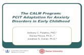 The CALM Program: PCIT Adaptation for Anxiety Disorders in ...The CALM Program: PCIT Adaptation for Anxiety Disorders in Early Childhood Anthony C. Puliafico, PhD,1 Donna Pincus, Ph.D.,