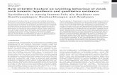 Peter K. Kaiser Georg Spaun Role of brittle fracture on ...W. Steiner/P. K. Kaiser/G. Spaun · Role of brittle fracture on swelling behaviour of weak rock tunnels: hypothesis and qualitative