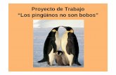 Proyecto de Trabajo “Los pingüinos no son bobos”docentes.educacion.navarra.es/mlopezgi/2011-12/PROYECTOS...• Los padres cuidan bien a sus hijos. • Alimentan a sus bebés •