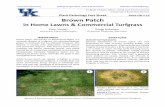 Plant Pathology Fact Sheet PPFS-OR-T-12 Brown Patchplantpathology.ca.uky.edu/files/ppfs-or-t-12.pdf · Plant Pathology Fact Sheet Brown Patch in Home Lawns & Commercial Turfgrass