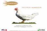 TETRA AMBER · The TETRA AMBER is a white, with some brown, feathered, brown egg layer which has the ability to meet the expectations of a variety of egg producers with different