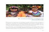 Comunidades Indígenas Amazónicas · 51 etnias y éstas a su vez, están distribuidas en 1 786 comunidades indígenas que tienen una población total de 332 795 habitantes, lo que