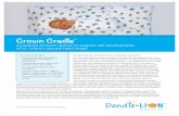 Crown Cradle - Dandle•LION Medical...with a plug when prone positioning is desired. Studies have shown that the Crown Cradle (referred to in the literature as the Cranial Cup, Plagio
