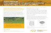 Fact Sheet Management of gastrointestinal nematodes in ... · nematodes in water buff alo Gastrointestinal (GIT) nematodes cause signifi cantly reduced growth and adverse health impacts