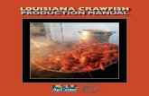 LOUISIANA CRAWFISH PRODUCTION MANUAL · composed of two species – the red swamp crawfish (scientific name: Procambarus clarkii) and to a lesser extent the white river crawfish (scientific