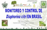 Pedro Takao Yamamoto Departamento de Entomologia e ... · Modos de acción definidos por el Comité de Acción a la Resistencia a Insecticidas - IRAC (Insecticide Resistance Action
