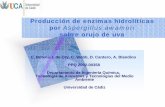Producción de enzimas hidrolíticas por Aspergillus awamori · PDF file 2011-05-11 · Producción de enzimas hidrolíticas por Aspergillus awamori sobre orujo de uva C. Botella,