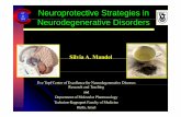 Neuroprotective Strategies in Neurodegenerative Disorders...•Anticholinergics •MAO-B inhibitors •Amantidine New PD Treatments on the Horizon •Syyp gmptomatic drugs Opioid antagonists