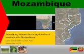 Mozambique - United States Agency for International ...Ethiopia Mozambique 7.7% India 8.1% 8.0% China 8.5% h World's Fastest Growing Economies (2011 to 2015 est.) +8% The Mozambican