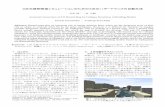 3次元建物倒壊シミュレーションのための3次元ハ …gisa-japan.org/conferences/proceedings/2009/papers/5B-2.pdfプ等を開催し、住民、地権者、行政、デザイナーなど