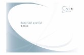 Body SAR and EU...Conclusion Body SAR in EU – standard-based and harmonization approach IEC 62209-2:2010 – generic Maintenance of IEC 62209-2 – Three main work directions (1)