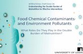 Food Chemical Contaminants and Environment …...Chemical contaminants in food Food can become contaminated with a variety of toxins via various routes, including: • Naturally occurring