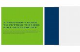 A PROVIDER’S GUIDE TO PUTTING THE HCBS RULE INTO …A PROVIDER’S GUIDE TO PUTTING THE HCBS RULE INTO PRACTICE . This provider’s guide contains informational guidance, best practices