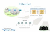 Ethernet’ · 2015-07-11 · NetStep. Challenge ’ In a CSMA/CD collision domain, multiple stations can successfully transmit data simultaneously. In a CSMA/CD collision domain,