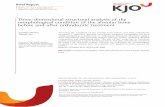 Three-dimensional structural analysis of the morphological … · 2017-09-29 · After gaining space for the anterior discrepancy, both the maxillary and mandibular incisors were