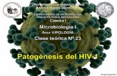 DEPARTAMENTO DE MICROBIOLOGÍA, PARASITOLOGÍA E … 23.pdf · 2019-10-18 · Objetivos –Presentar la estructura partícula viral y la organización del genoma –Comprender los