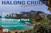 Halong Cruise · 16 species are listed in vietnam's red Book of endangered and endangered soon. in the rare species of plants, 95 species of medicinal plants, 37 species of ornamental