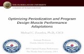 Optimizing Periodization and Program Design Muscle Performance Adaptations · 2017-08-30 · Optimizing Periodization and Program Design Muscle Performance Adaptations . Michael C.