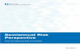 Semiannual Risk Perspective Fall 2019 · − Banks face strategic risks from non-depository financial institutions, use of innovative and evolving technology, and progressive data