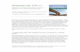 Wireshark Lab: TCP v7atc2.aut.uah.es/.../Descarga_LE/PRACTICA7-EJEMPLO_TCP.pdfBefore beginning this lab, you’ll probably want to review sections 3.5 and 3.7 in the text1. 1. Capturing