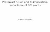 Protoplast fusion and its implication, Importance of GM plants · the somatic cells and are experimentally fused to obtain parasexual hybrid protoplasts . Protoplast fusion •Protoplast