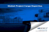 Global Project Cargo Expertise - Logistics Plus · Project Logistics You can trust Logistics Plus to handle your global cargo projects. We handle freight that the “the other guys”