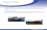 Project Cargo - Parsimpex · Project Cargo SOLUZIONI SPECIFICHE: vengono studiate e realizzate espressamente in funzione di ogni necessità di trasporto, data la peculiarità e la