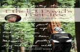 Ethel J. David’s Poet-Tree - BookLocker.comETHEL J. DAVID’S POET-TREE 2 My Man A man who was once a man A man with mind and reason A man of the hour, time, place A man for all