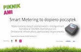 Smart Metering to dopiero początek - tauron …modul.tauron-dystrybucja.pl/piknik/ami/SiteCollection...Smart Metering to dopiero początek Wykorzystanie danych pomiarowych z inteligentnych