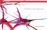 RNAi handbook - Thermo Fisher Scientific · Glossary of common RNAi terms RNAi Ribonucleic acid interference (first used by A. Fire and C. Mello et al., 1998). siRNA Short interfering