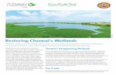 Restoring Chennai's Wetlands - TNC India · Restoring Chennai's Wetlands Wetlands - lakes, ponds, marshlands and swamps - are one of the most productive ecosystems on the planet.