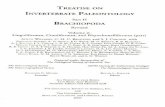  · BRACHIOPODA Revised Volume 2: Linguliformea, Craniiforrnea, and Rhynchonelliformea (part) ... Phylum BRACHIOPODA (Alwyn Williams, Sandra J. Carlson, and C. Howard C. Brunton)