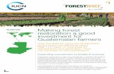 Guatemala Making forest restoration a good investment for ... · Making forest restoration a good investment for Guatemalan farmers Over the past 20 years the Guatemalan government