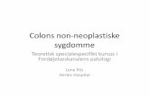 Colons non-neoplastiske sygdomme - gastro.patologi.org · Kronisk inflammatorisk tarmsygdom hyppighed 0 2 4 6 8 10 12 14 16 1960 1965 1970 1975 1980 1985 1993 2004 Years s Ulcerative