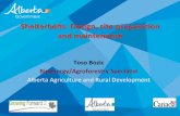 Shelterbelts- Design, site preparation and maintenance · Shelterbelts- Design, site preparation and maintenance Toso Bozic Bioenergy/Agroforestry Specialist Alberta Agriculture and