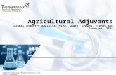 Agricultural Adjuvants Market 2024 â€“ Sales, Size, Share and Forecast