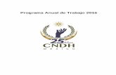 Programa Anual de Trabajo 2016 - CNDH · 2017-01-03 · La articulación del Programa Anual de Trabajo 2016 y las bases para la implementación del Plan Estratégico Institucional,