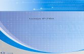 Luxsys IP-PBX · 2010-12-27 · 3 IP-PBX (Continued) LUXSYS IP-PBX Specifications IP-PBX Standard configuration Configuration Specifications Box Type 19” Small Rack Type CPU x86